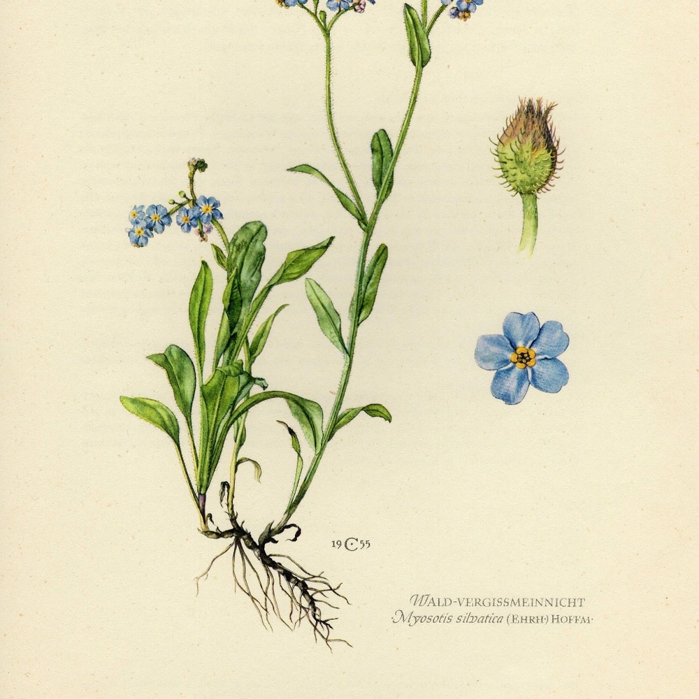 Meet your Posher, Breeze